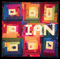 Baby Quilt (for Ian)